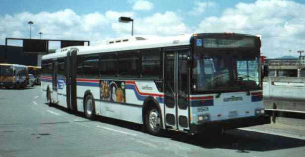Samtrans New Flyer D60 9501